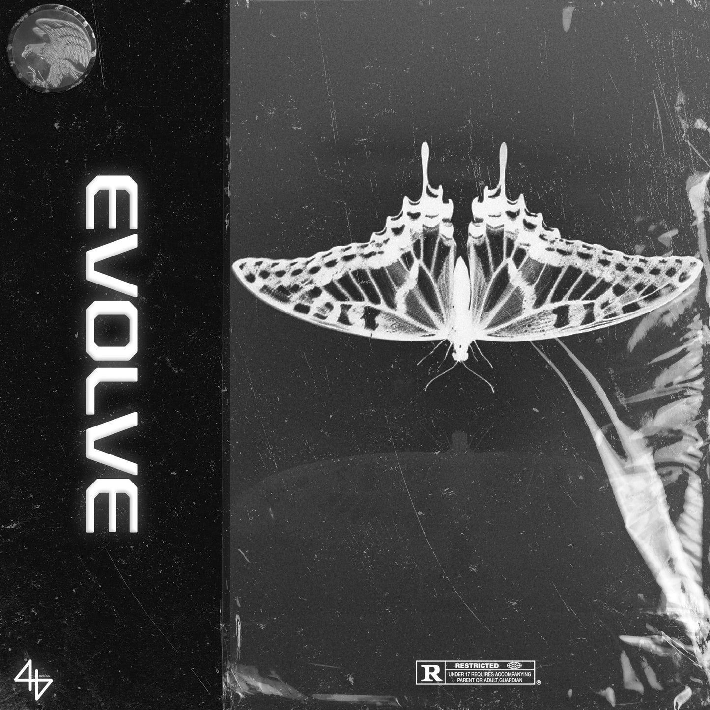 Evolve (Freestyle)